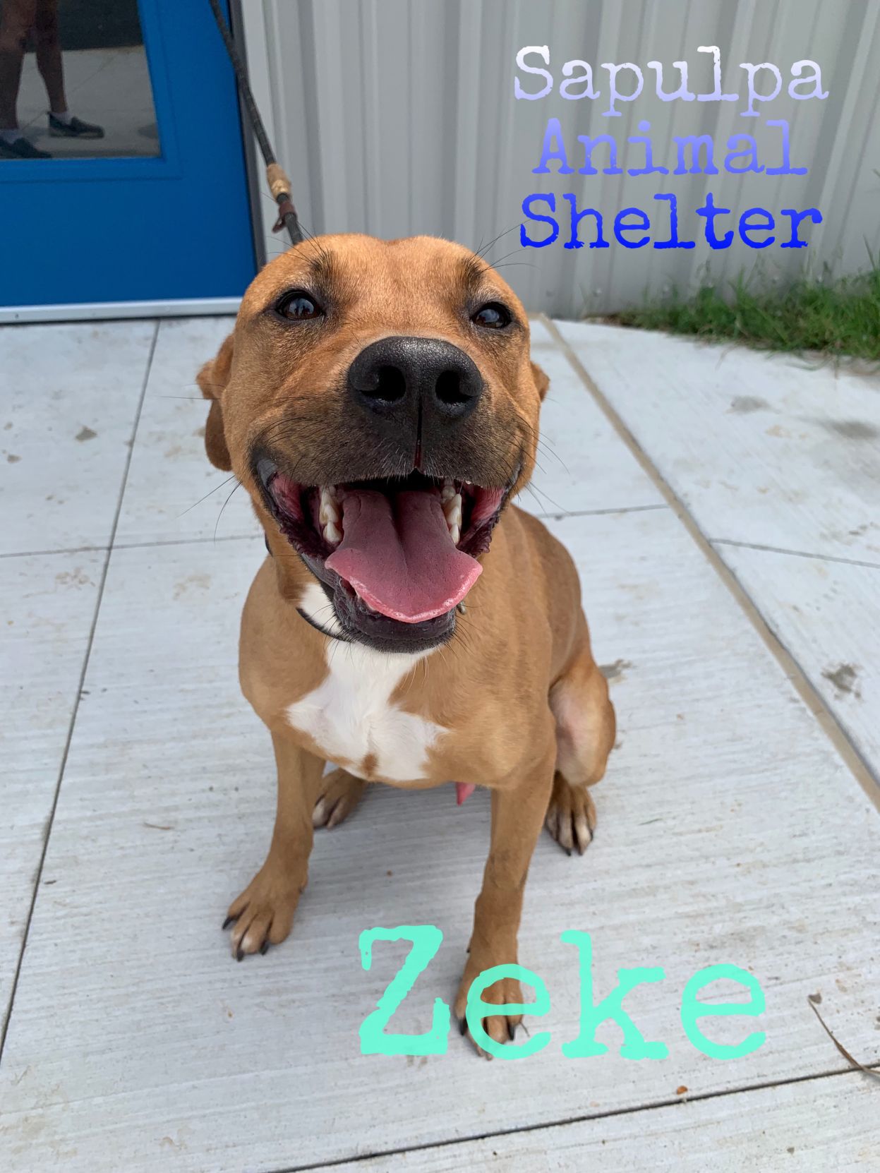 Zeke